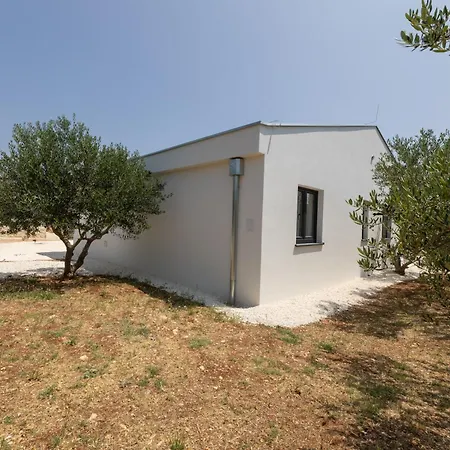 Peace & Pool In Olive Grove بيت للعطل *