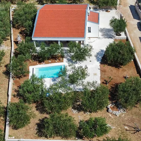 Peace & Pool In Olive Grove *