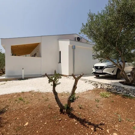 Tatil Evi Peace & Pool In Olive Grove Plano