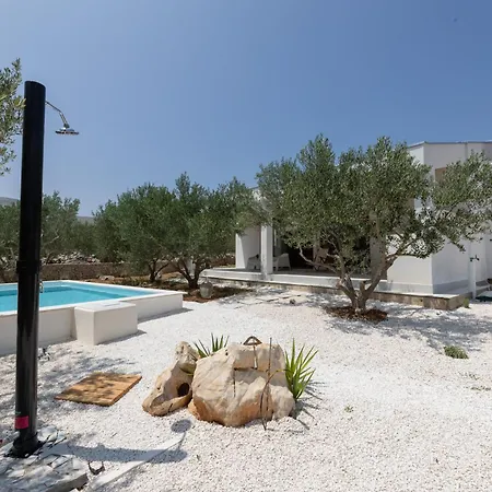 Peace & Pool In Olive Grove