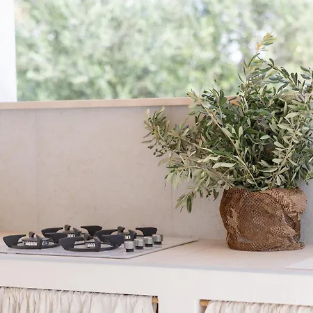 Tatil Evi Peace & Pool In Olive Grove *
