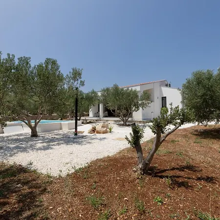 Peace & Pool In Olive Grove *
