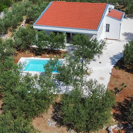 Tatil Evi Peace & Pool In Olive Grove